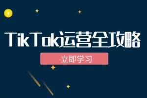 （12739期）TikTok实战运营全攻略：从下载软件到变现，抖音海外版实操教程