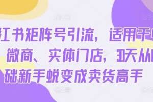 小红书矩阵号引流，适用于电商、微商、实体门店，30天从0基础新手蜕变成卖货高手