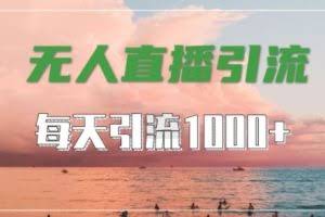 抖音快手视频号全平台通用，无人直播引流法，超暴力引流1000+高质量精准创业粉【揭秘】