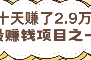 闲鱼小红书最赚钱项目之一,纯手机操作简单,小白必学轻松月入6万+