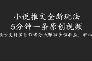 小说推文全新玩法,5分钟一条原创视频,结合视频号支付宝创作者分成赚取多份收益