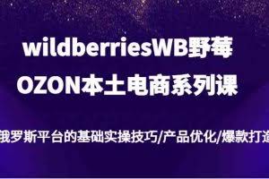 wildberriesWB野莓/OZON本土电商系列课,俄罗斯平台的基础实操技巧/产品优化/爆款打造