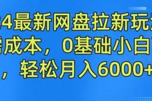 2024最新网盘拉新玩法，无需成本，0基础小白可做，轻松月入6000+【揭秘】
