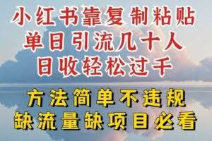 小红书靠复制粘贴单日引流几十人目收轻松过千，方法简单不违规【揭秘】