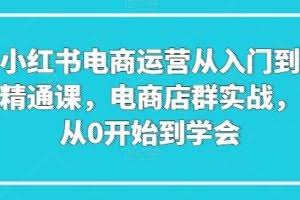 小红书电商运营从入门到精通课，电商店群实战，从0开始到学会