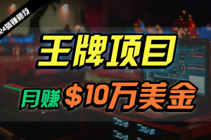 王牌项目月入10W美金，2024最新国外挂机撸U项目，全程无人值守，可批量放大！