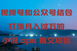 视频号和公众号结合打造月入过万的小说cps推文项目，包括市面上面的各种思路详解