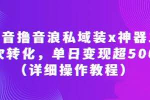 抖音撸音浪私域装x神器二次转化，单日变现超500（详细操作教程）【揭秘】