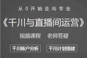 阳光哥·千川图文与直播间运营，从0开始走向专业，包含千川短视频图文、千川直播间、小店随心推