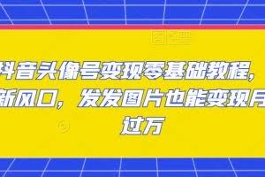 抖音头像号变现零基础教程，全新风口，发发图片也能变现月入过万