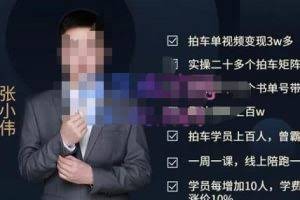 张小伟懂车帝拍车号实操课，懂车帝拍车号计划的整体的实操流程价值699元