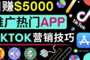 无需露脸，无需录音，无需投资，轻松上传短视频，利用TIKTOK赚钱，最高日入5000美元