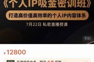 桔子会个人IP吸金密训班，打造高价值高效率的个人IP内容体系（价值12800元）