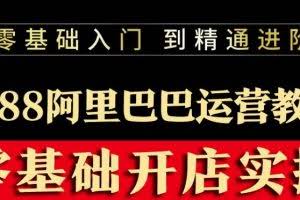 阿里巴巴1688运营推广教程新手开店诚信通装修培训视频
