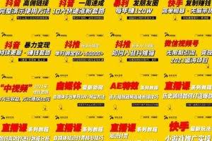 2021聚蚁思维高级合伙人vip会员课程合集，帮助上万人通过短视频变现益利