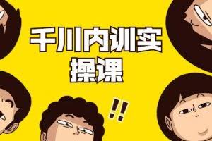 数据哥·千川内训实操课，轻松获取流量，直播带货变现（视频-无水印）