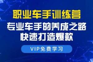 直通车课程：专业车手的养成之路，快速打造爆款（8节-无水印直播课）