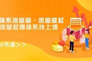 8大体系流量篇·流量做起,电商流量起爆体系线上课(30节课)