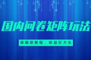 保姆级教程，国内问卷矩阵玩法，轻松赚收益