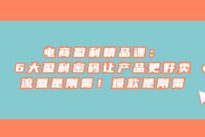 电商盈利精品课：6大盈利 密码让产品更好卖，流量是刚需！爆款是刚需