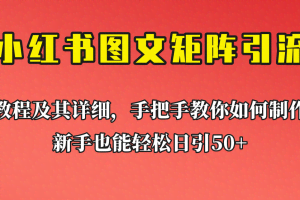 新手也能日引50+的小红书图文矩阵引流法！超详细理论+实操的课程助你流量源源不断