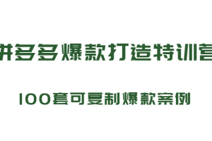 拼多多爆款打造特训营，199元*100套可复制爆款案例（持续更新中)
