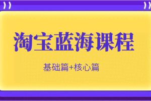 淘宝蓝海暴利产品实操项目，单店利润几千几万（基础篇+核心操作篇）