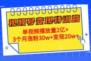 21天视频号变现特训营：单视频播放量2亿+3个月涨粉30w+变现20w+（第14期）