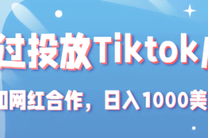 Tiktok赚钱项目：通过投放Tiktok广告，和网红合作，日入1000美元