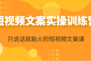 短视频文案实操训练营第16期，只说话就能火的短视频文案课（无水印）