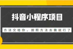 抖音小程序项目，方法交给你，按照方法去做就行了