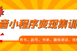 抖音小程序变现集训课，养号、起号、书单、趣味测试、视频剪辑，全套流程