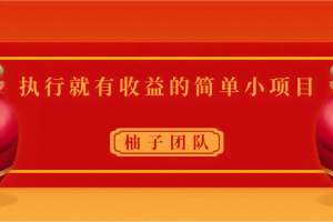 执行就有收益的简单小项目，利用信息差实现日入300+视频课程