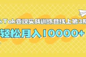 龟课TikTok变现实战训练营线上第3期，轻松月入10000+（无水印）