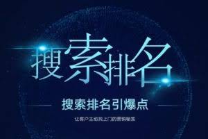 搜索排名引爆点：教你快速掌握各个搜索引擎排名算法，让客户主动找上你的秘笈