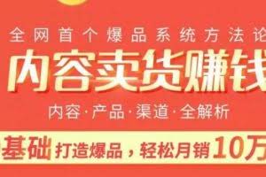 内容卖货赚钱：0基础打造卖爆品，每月轻松躺赚10w+【完结】