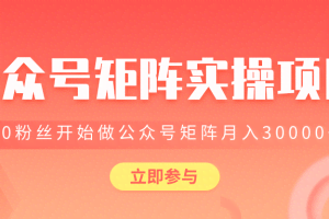 价值2580元公众号矩阵实操项目，从0粉丝开始做赚钱的公众号矩阵，月入30000+