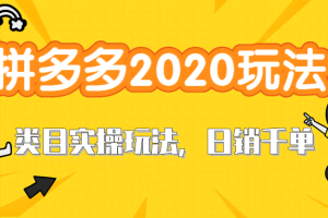 拼多多2020最新类目实操玩法，直通车定向玩法做爆款，轻松操作到日销千单