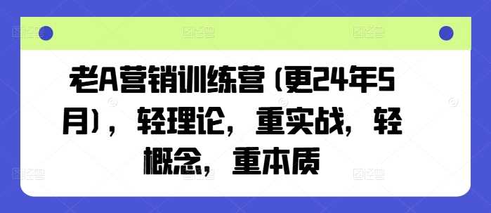 老A营销训练营(更24年12月),轻理论,重实战,轻概念,重本质