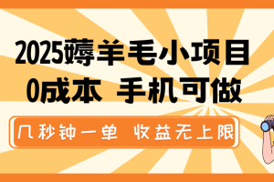 2025薅羊毛小项目，0成本 手机可做，几秒钟一单，收益无上限
