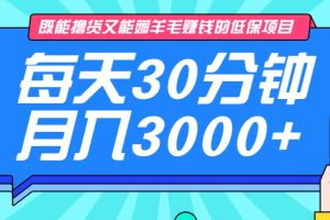 既能撸货又能赚钱的长期低保项目，每天30分钟，多号百分百稳定月入3000+！