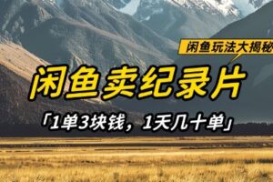 闲鱼卖纪录片1单3块钱，1天几十单，项目稳定有潜力