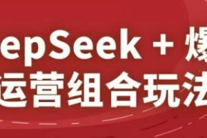 DeepSeek+爆品运营组合玩法，2025淘系精品课