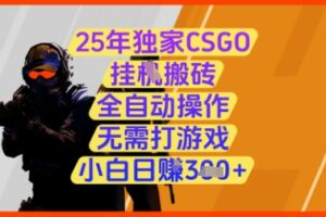 25年独家CSGO挂G搬砖，全自动操作，无需打游戏，小白日入3张+【揭秘】
