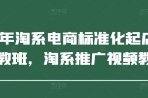 2025年淘系电商标准化起店流程私教班，淘系推广视频教程