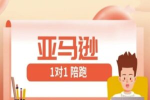 亚马逊1对1陪跑课(FBA/FBM精铺)跨境亚马逊教程