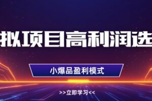 虚拟项目高利润选品方法，做好单店利润1W+，可多店倍增利润