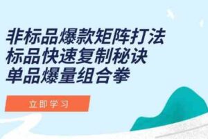 非标品爆款矩阵打法，标品快速复制秘诀，单品爆量组合拳