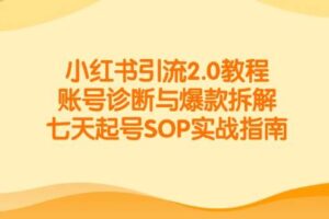 小红书引流2.0教程，账号诊断与爆款拆解，七天起号SOP实战指南