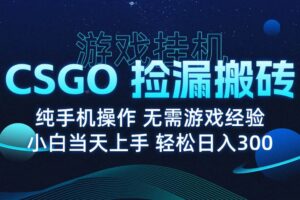 （15820期）8月最新游戏搬砖，CSGO纯挂机，不需要玩游戏，实现真挂机，月入1W+